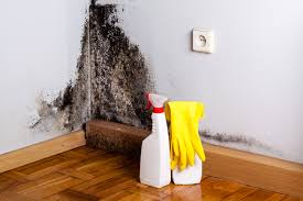 Best Biohazard Mold Removal  in USA